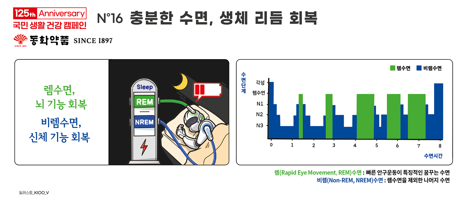 충분한 수면, 생체리듬 회복